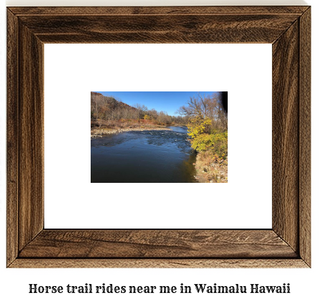 horse trail rides near me in Waimalu, Hawaii